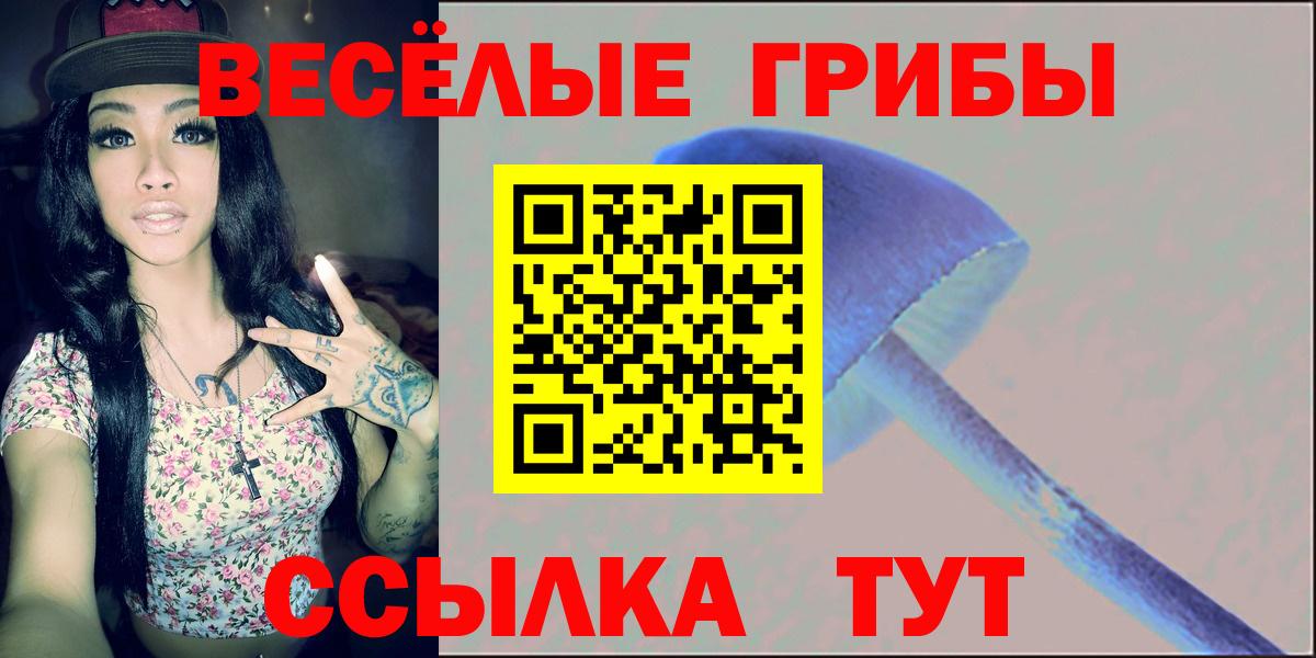 Псилоцибиновые грибы Cubensis Белебей